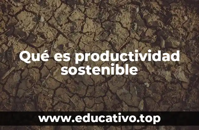 Qué es productividad sostenible