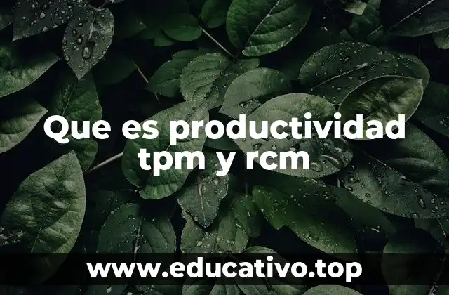 Que es productividad tpm y rcm