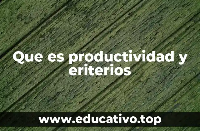 Que es productividad y eriterios