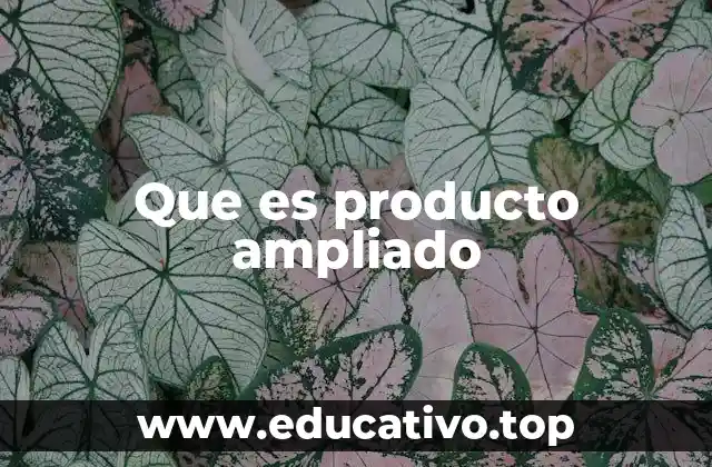 Que es producto ampliado