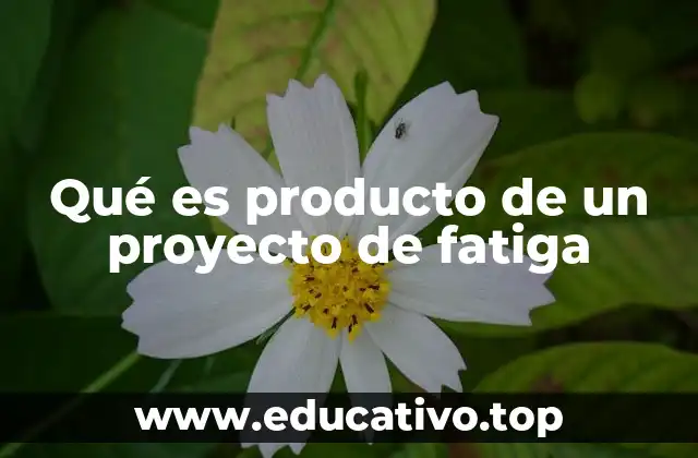 Qué es producto de un proyecto de fatiga