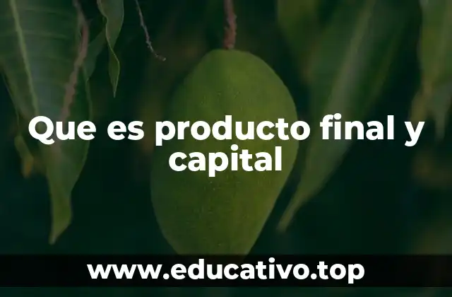 La relación entre producción, consumo y acumulación económica
