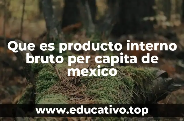 El PIB per cápita de México como reflejo del desarrollo económico
