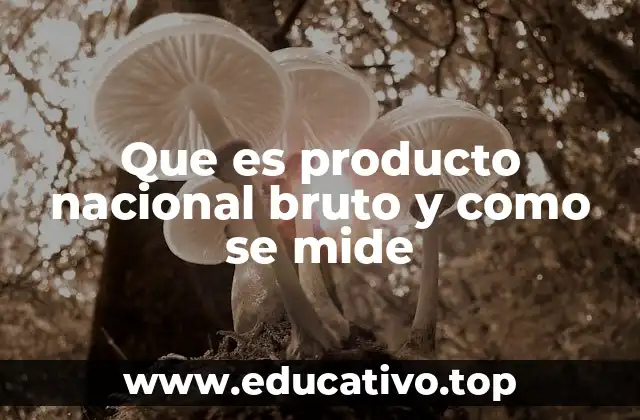 La importancia del Producto Nacional Bruto en la economía