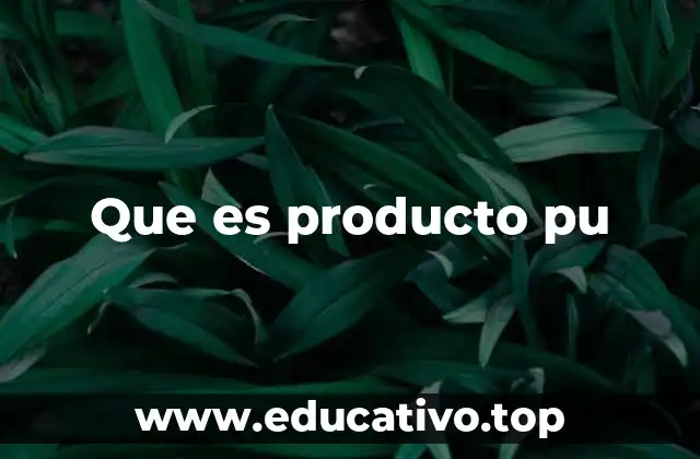 La importancia de los Productos PU en la estrategia de ventas