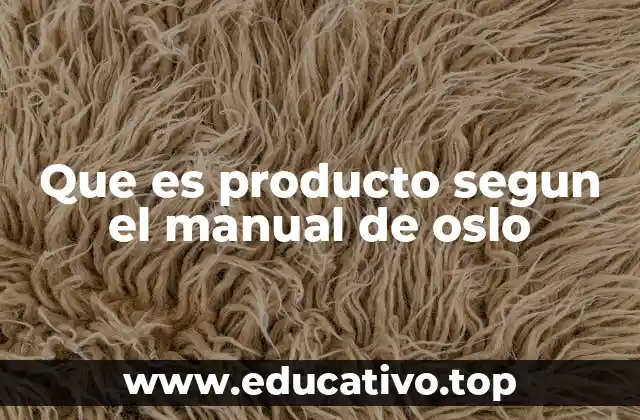 Que es producto segun el manual de oslo