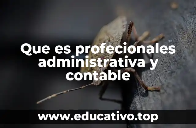 Que es profecionales administrativa y contable