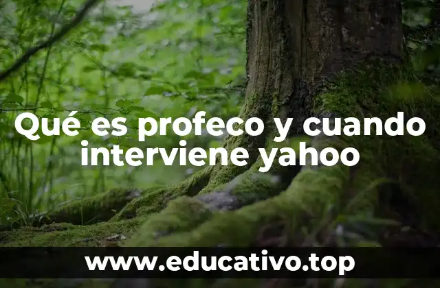 Qué es profeco y cuando interviene yahoo