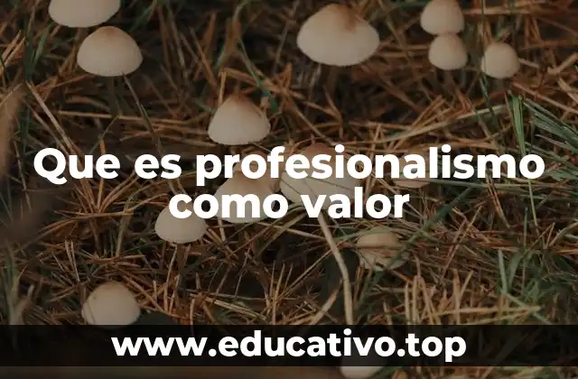 Que es profesionalismo como valor