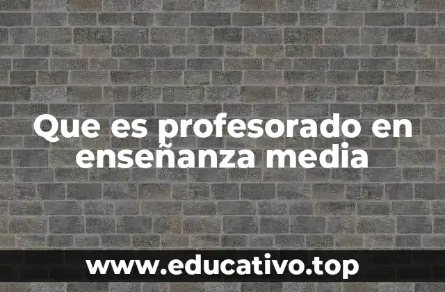 Que es profesorado en enseñanza media