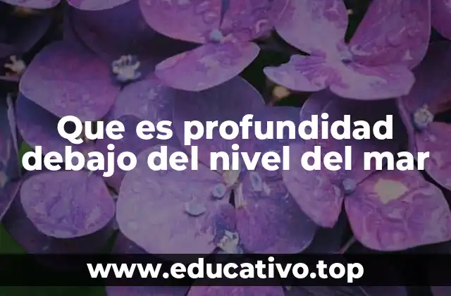 Que es profundidad debajo del nivel del mar