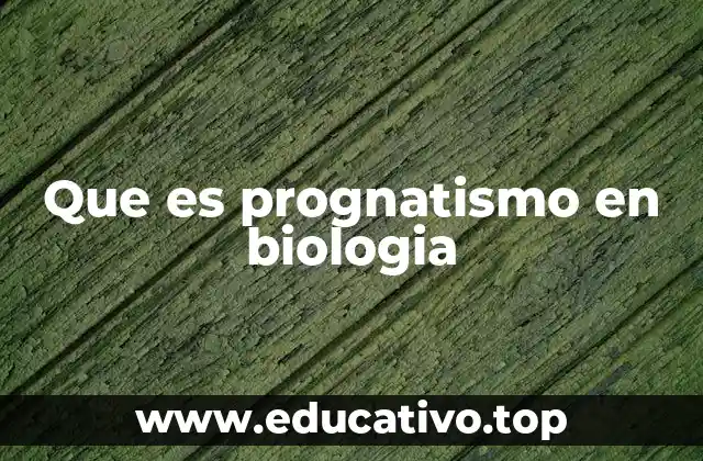 Que es prognatismo en biologia