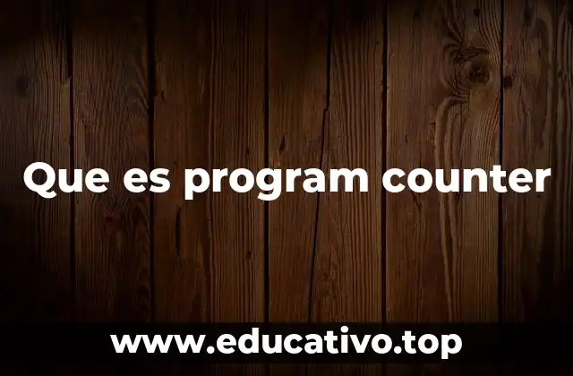 Que es program counter