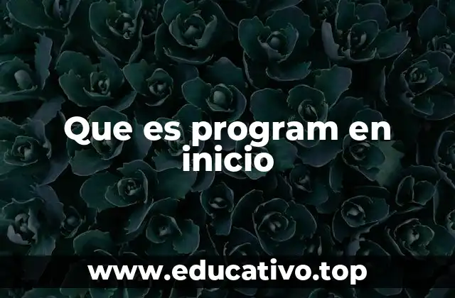 Que es program en inicio
