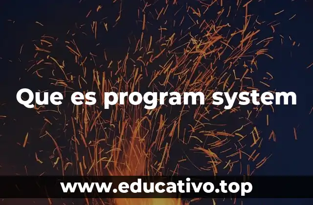 Que es program system