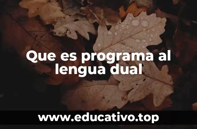 Que es programa al lengua dual