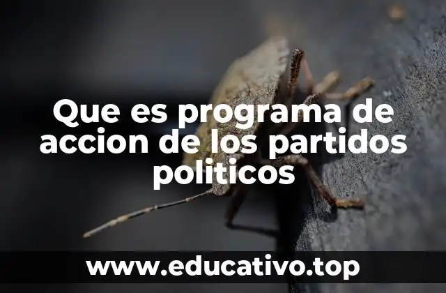 Que es programa de accion de los partidos politicos