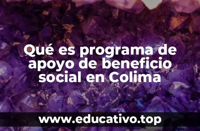 Qué es programa de apoyo de beneficio social en Colima
