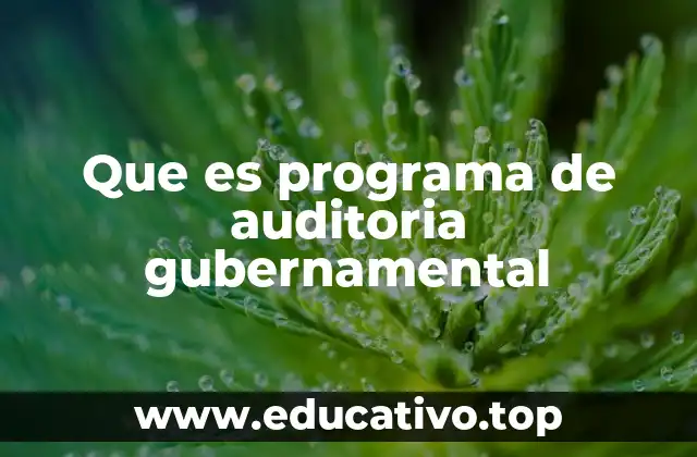 Que es programa de auditoria gubernamental