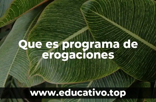 Que es programa de erogaciones
