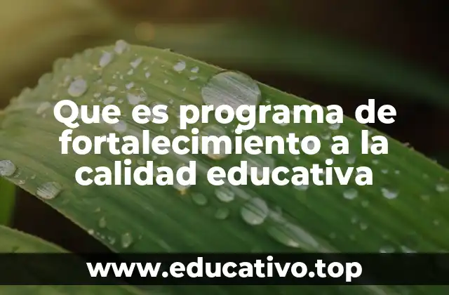 Que es programa de fortalecimiento a la calidad educativa