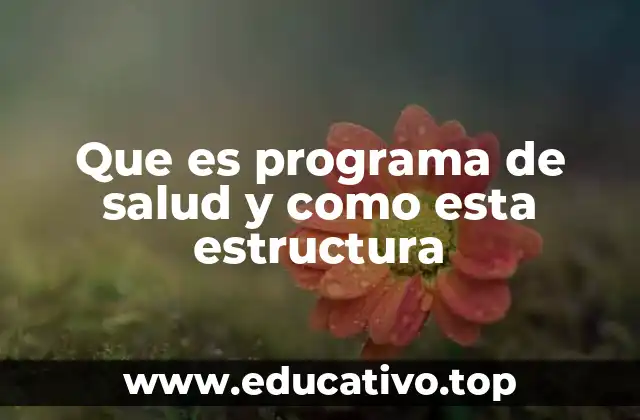 Que es programa de salud y como esta estructura