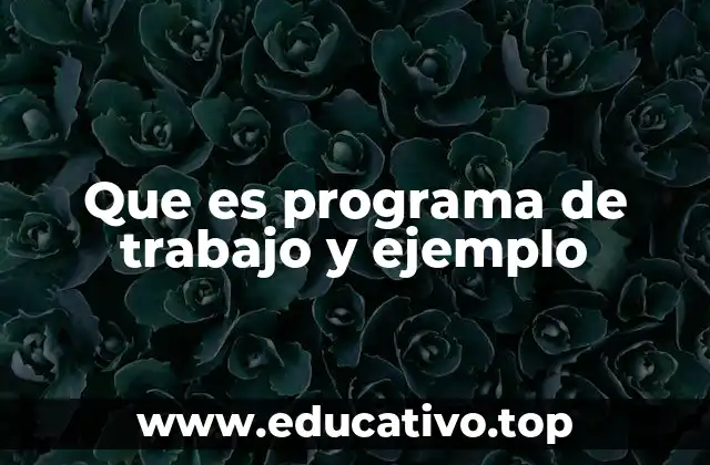 Que es programa de trabajo y ejemplo