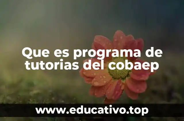 Que es programa de tutorias del cobaep