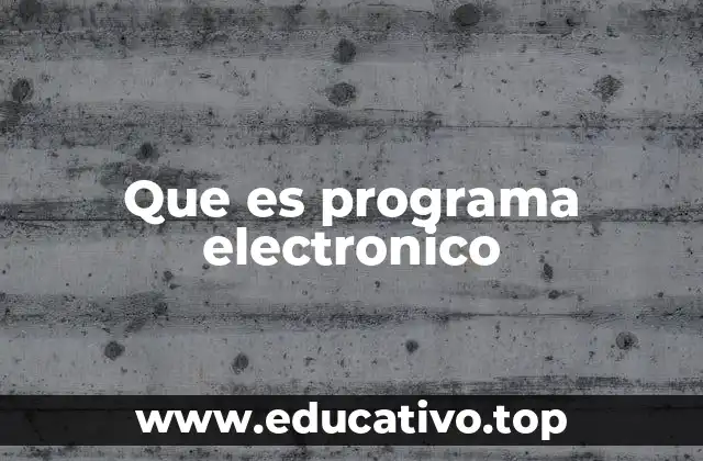 Que es programa electronico