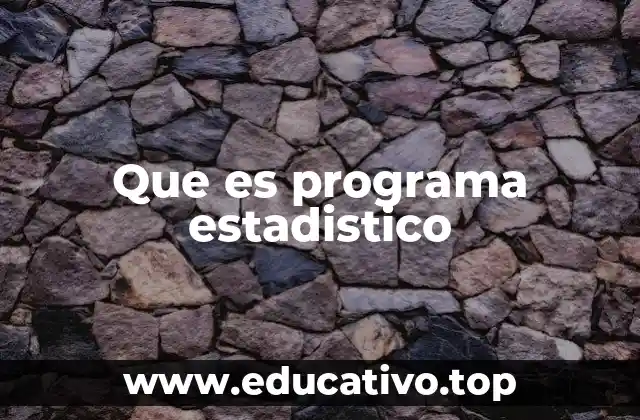 Que es programa estadistico