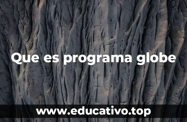 Que es programa globe