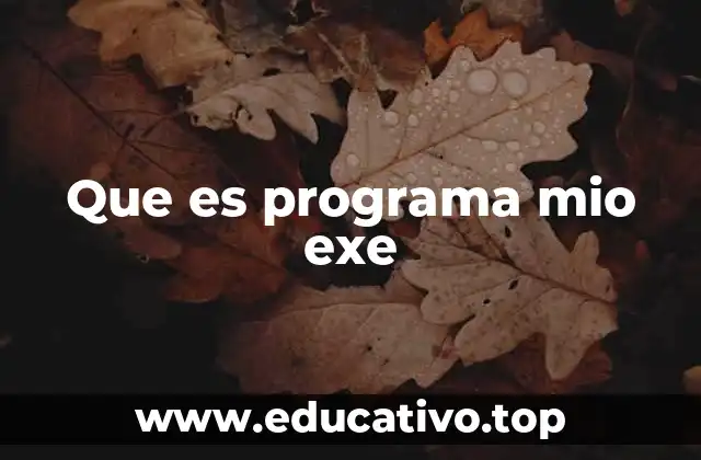 Que es programa mio exe