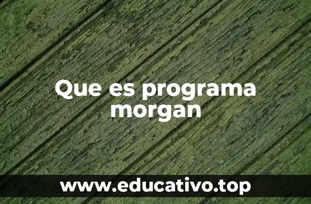 El impacto socioeconómico del programa Morgan