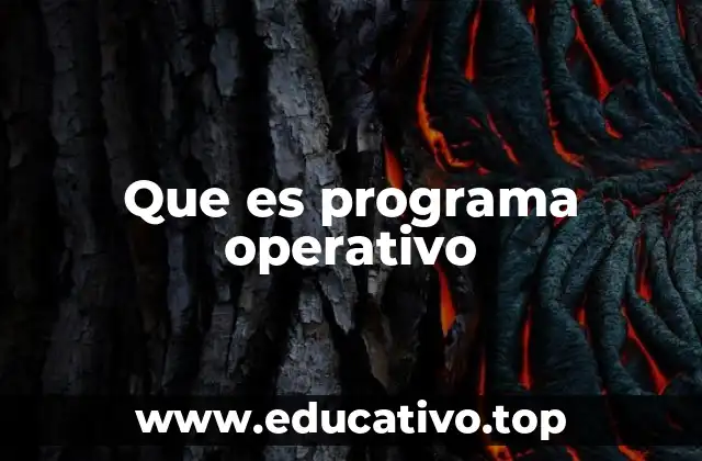 Que es programa operativo