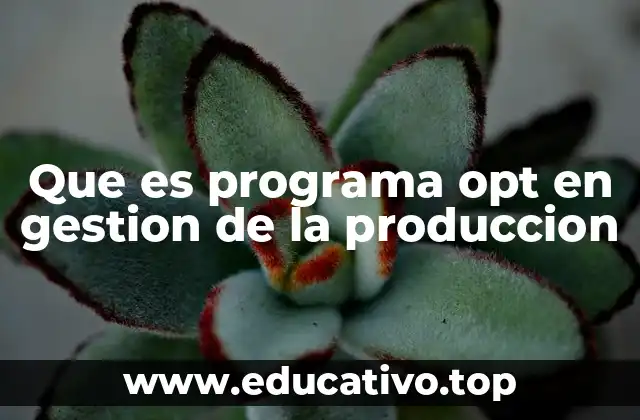 Aplicación de OPT en la mejora de la productividad industrial
