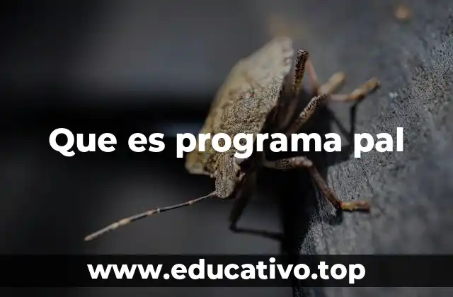 Que es programa pal
