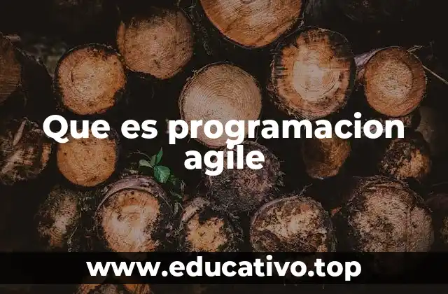 Que es programacion agile