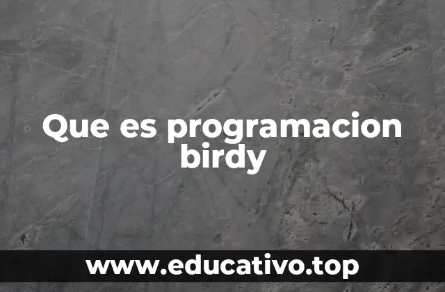 Que es programacion birdy
