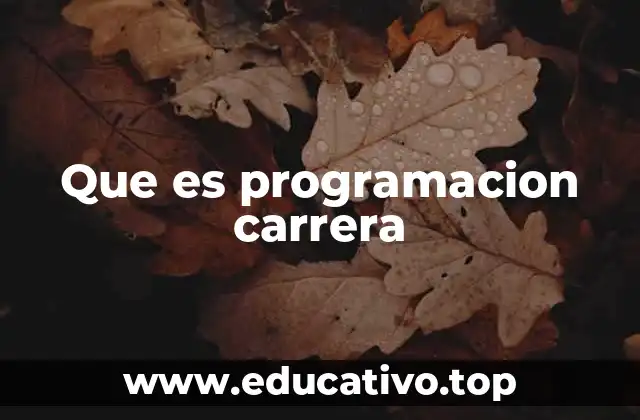 Que es programacion carrera