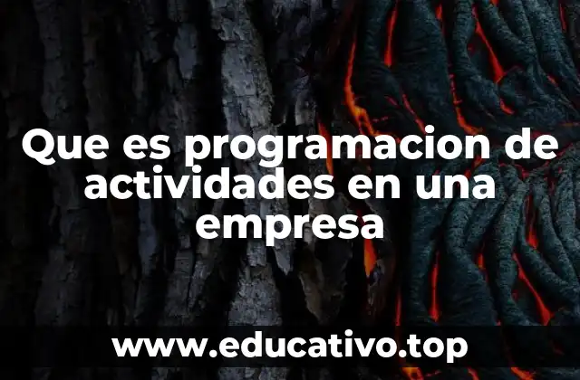 Que es programacion de actividades en una empresa