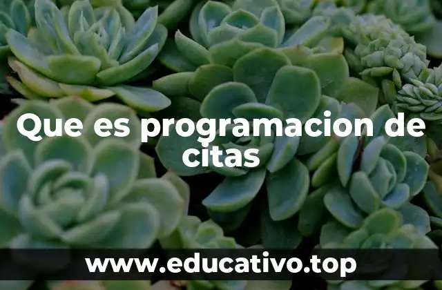 Que es programacion de citas