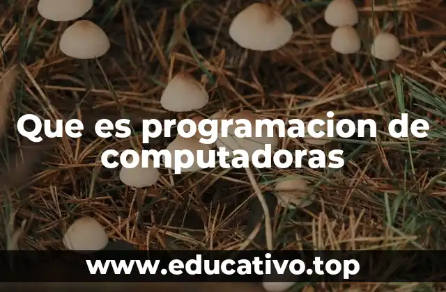 Que es programacion de computadoras