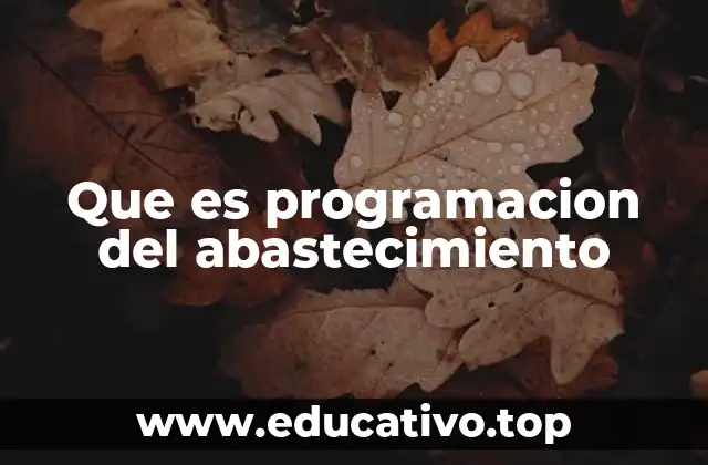 Que es programacion del abastecimiento