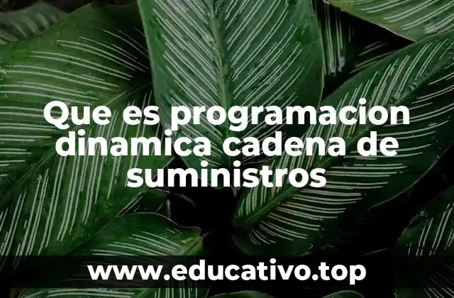 Que es programacion dinamica cadena de suministros
