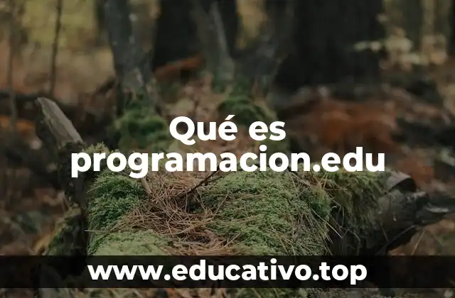 Qué es programacion.edu
