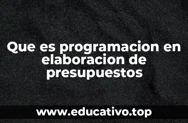 Que es programacion en elaboracion de presupuestos