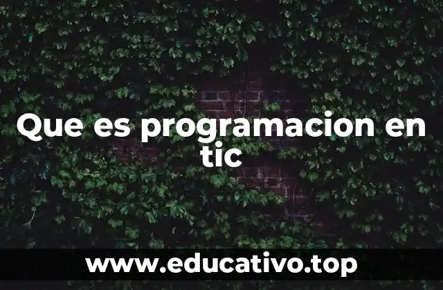 Que es programacion en tic