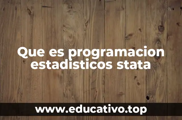 Que es programacion estadisticos stata