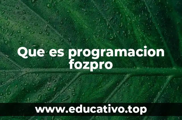 Que es programacion fozpro