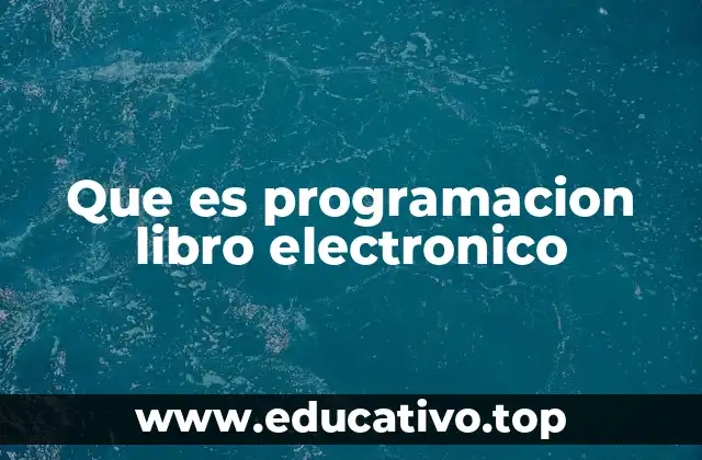 Que es programacion libro electronico